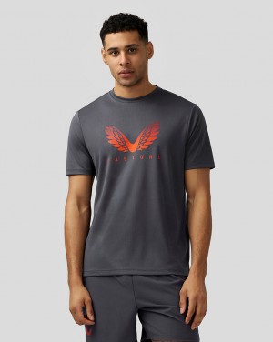 Castore Adapt Short Sleeve Graphic T Shirt Mavi | AX5738160