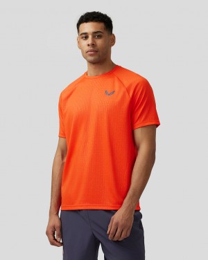 Castore Adapt Short Sleeve Printed T Shirt Turuncu | CB9576230